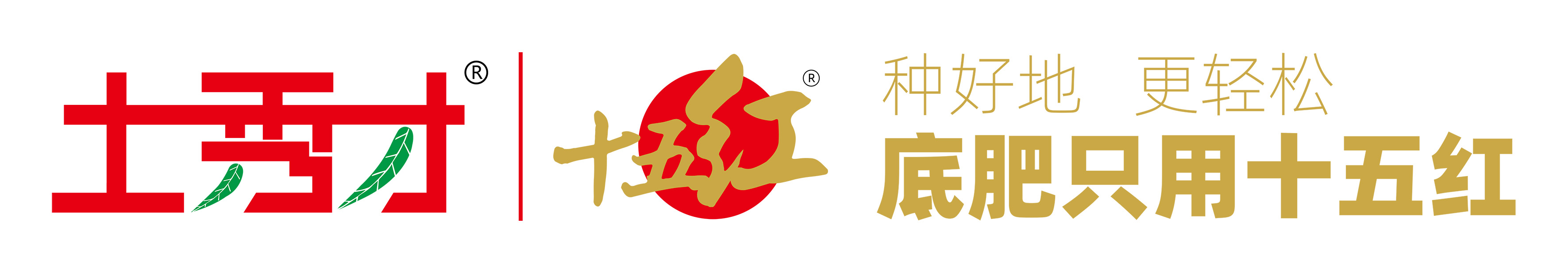 文章插图